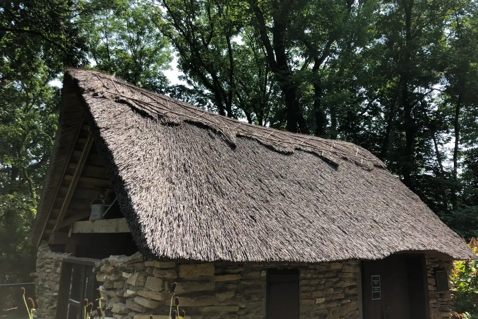 Shed Removal and Demolition in Chicopee